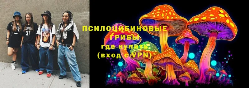 Галлюциногенные грибы Magic Shrooms  Динская 